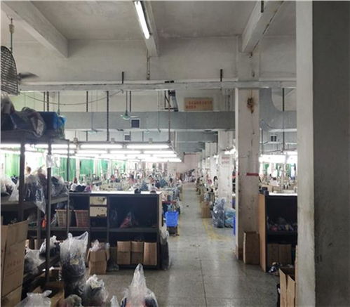 福州市廠房承重檢測鑒定單位 —— 專業技術服務保障工業安全，新聞聯播關注質量監管